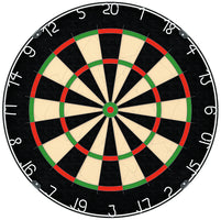 NPQ - PROFESSIONAL LEVEL - STAPLE FREE - DARTBOARD