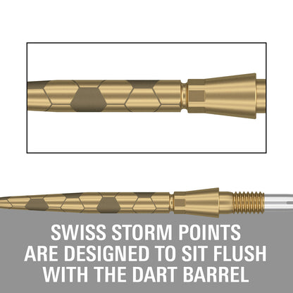 Swiss Storm Onyx Points by Target